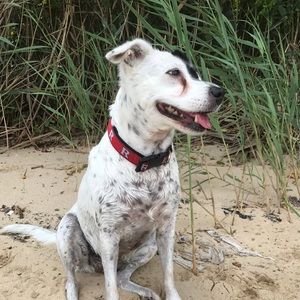 Meet your Posher, Mariana